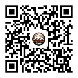 掃描手機(jī)訪問(wèn)